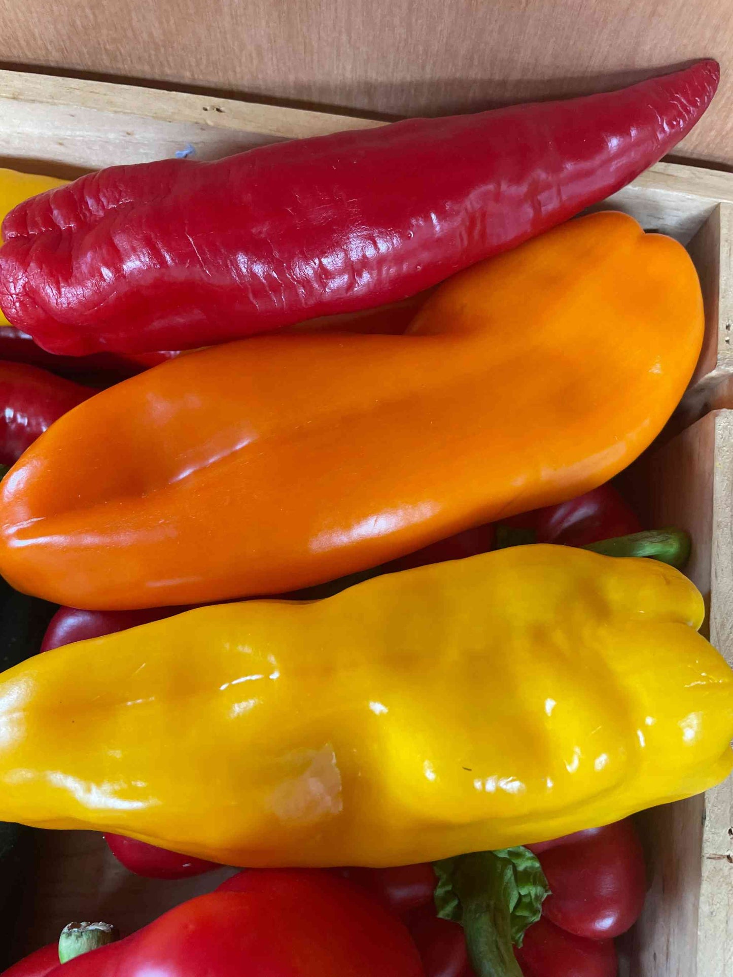 IOW Arreton Sweet Pointed Peppers with vibrant colors in a wooden crate.