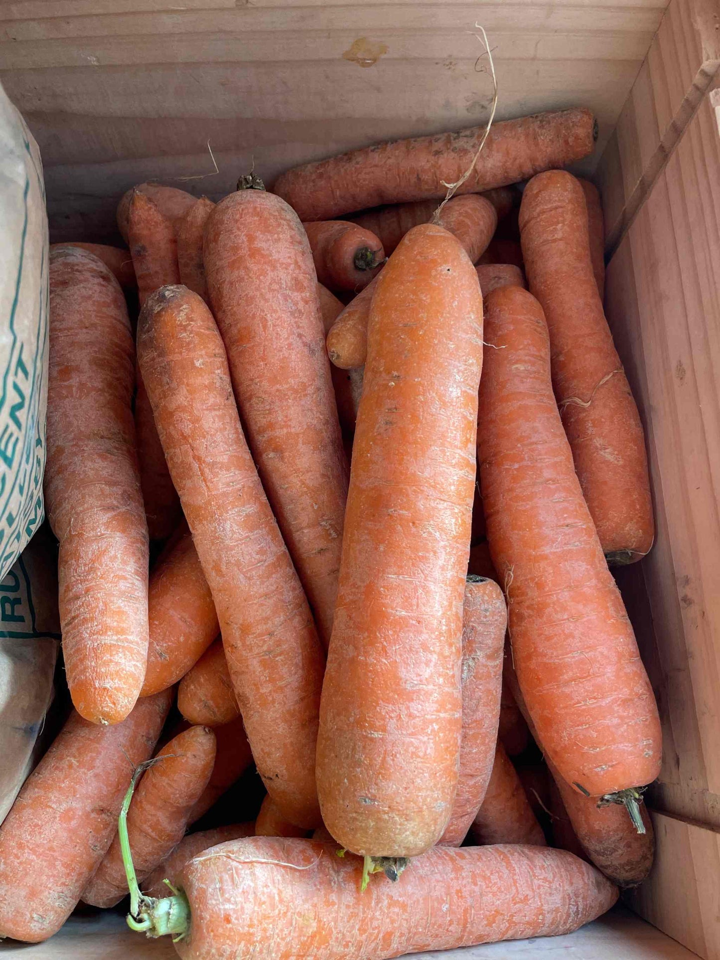 Organic carrots sold loose, vibrant and farm-fresh, in a wooden crate.