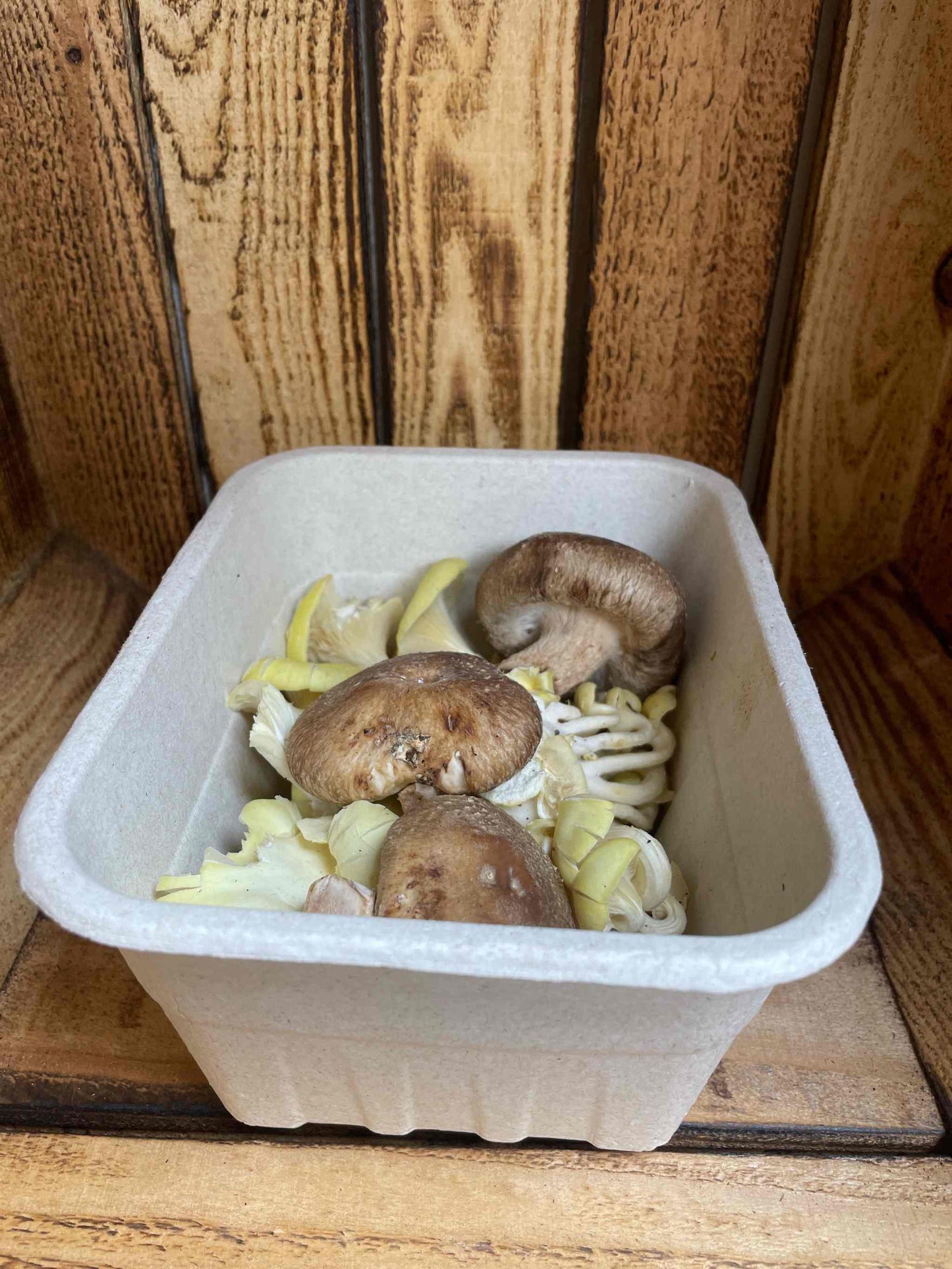 Mixed exotic mushrooms, organic fresh in recyclable packaging, showcasing shiitake, chanterelles, and oyster mushrooms.