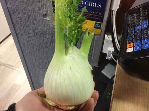 Organic fennel bulb held in hand in a store setting.