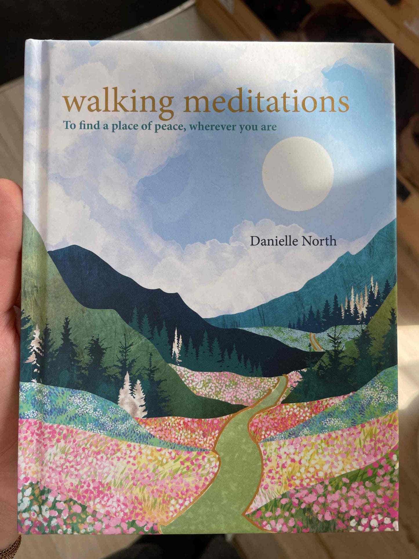 Book cover of 'Walking Meditations' by Danielle North, featuring a serene landscape with mountains, a winding path, and colorful flowers beneath a bright sky.