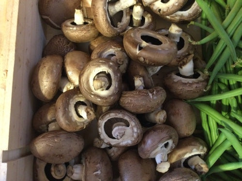 Organic Chestnut Mushrooms