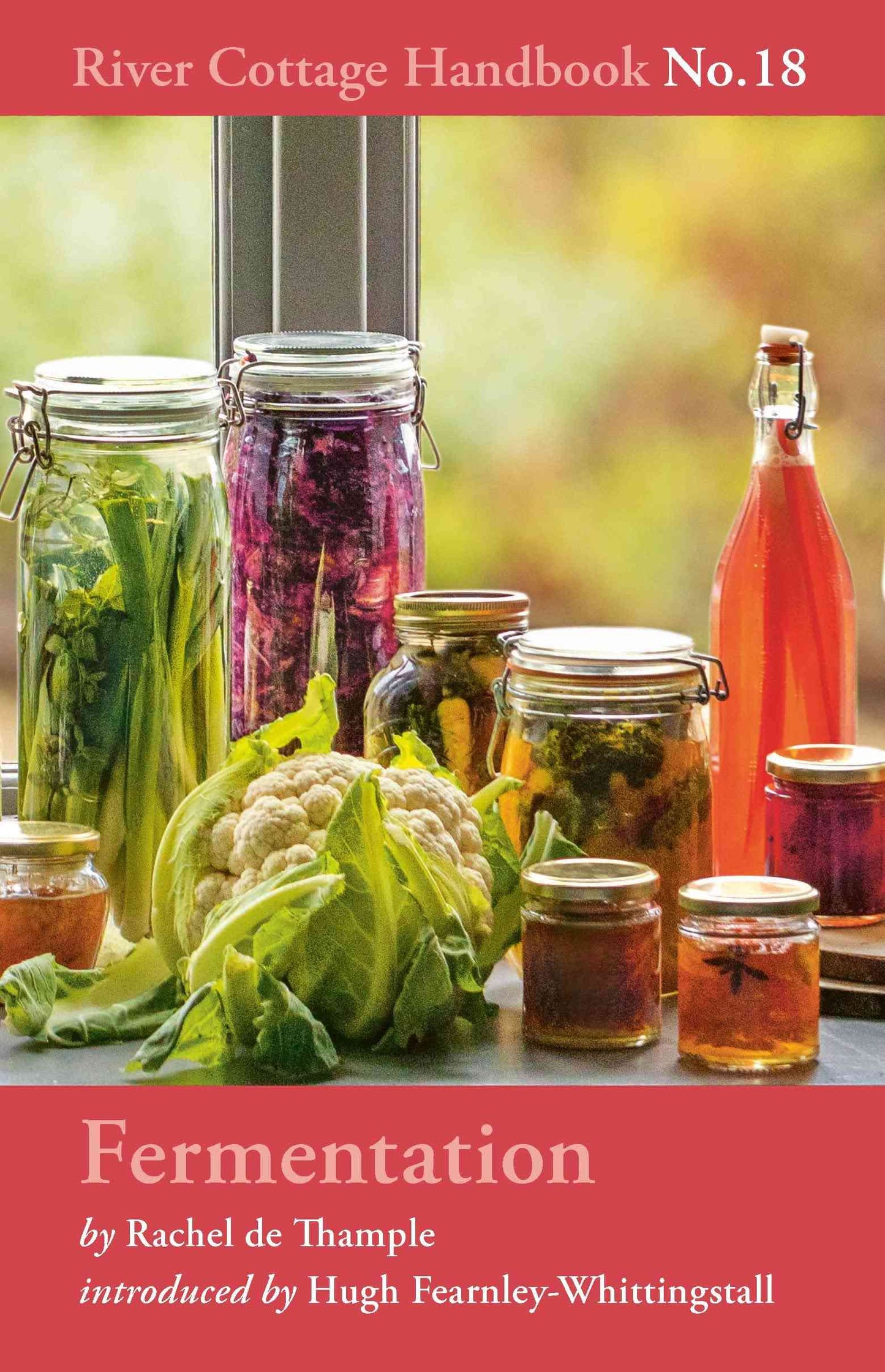 River Cottage Handbook No.18: Fermentation guide with recipes by Rachel de Thample.