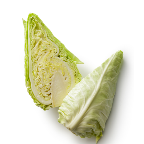 Organic Pointed Cabbage