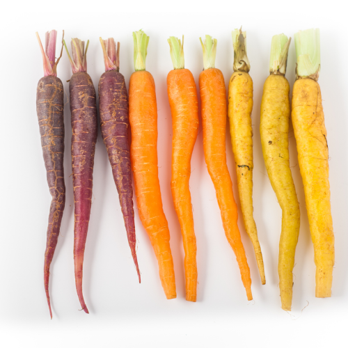 Rainbow Carrots Organic