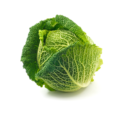Organic Savoy Cabbage
