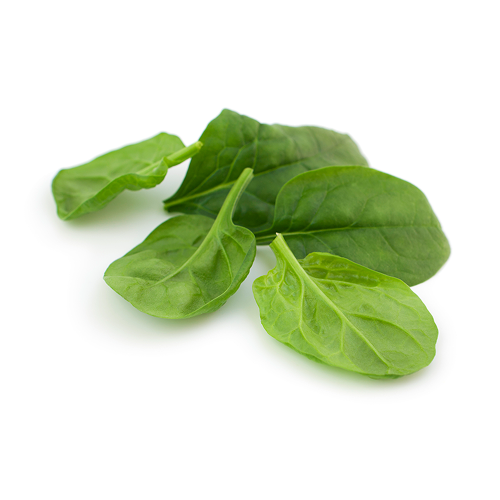 Organic Spinach Bags