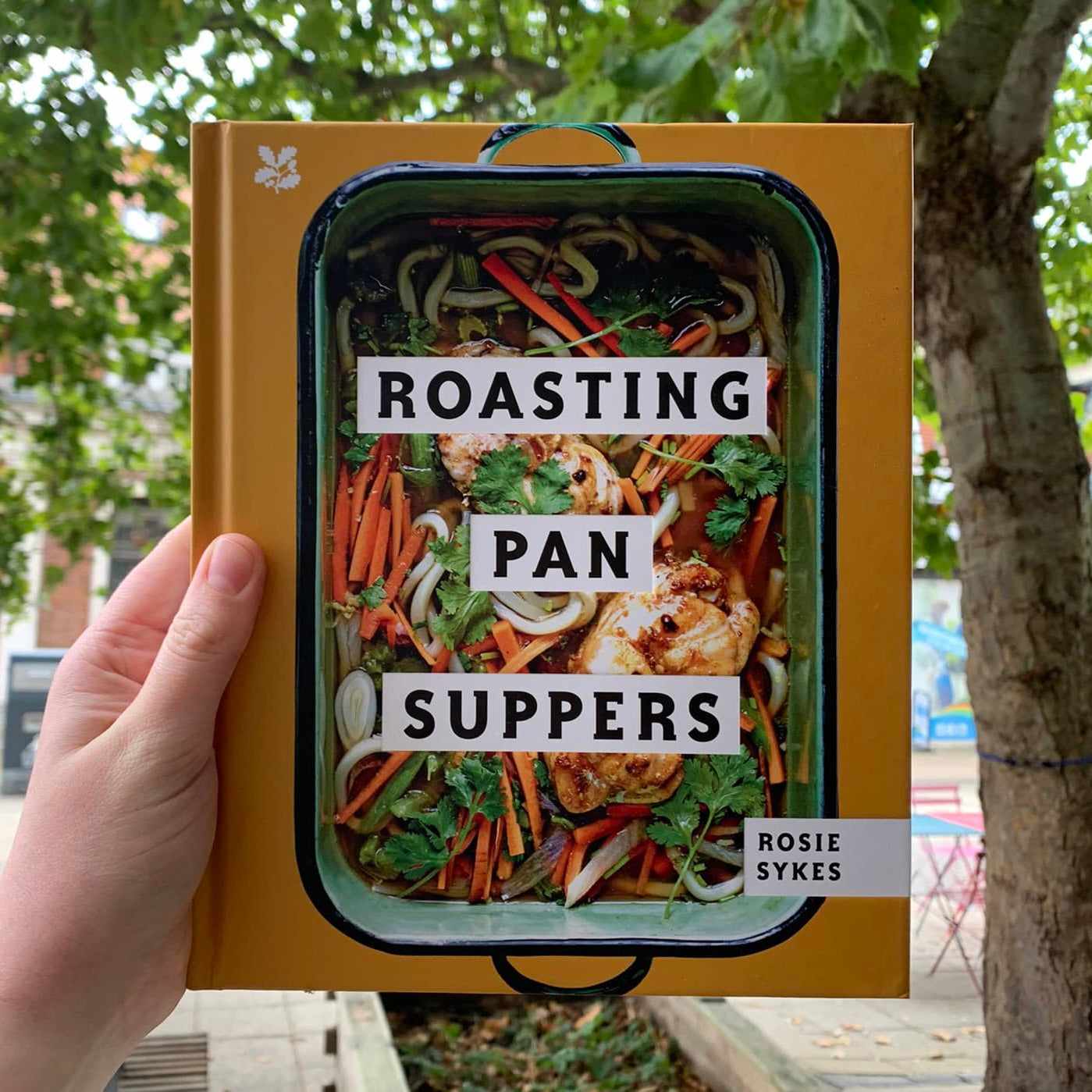 Roasting Pan Suppers cookbook by Rosie Sykes held outdoors, featuring an image of colorful roasted vegetables.
