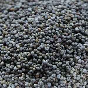 Blue poppy seeds (100g) for baking and culinary use, nutrient-rich and versatile.