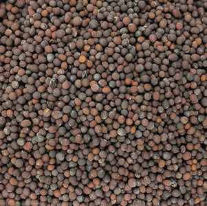 Brown mustard seed (25g)