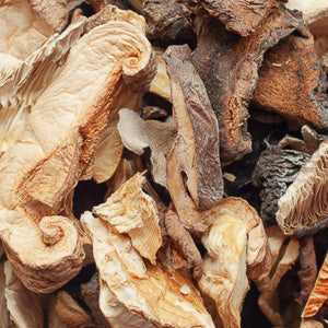 Dried forest mushrooms (100g) close-up, showcasing earthy texture and rich umami flavor for culinary use.