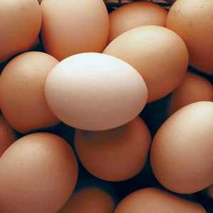 Free range, higher welfare eggs (box of 6) with vibrant, fresh brown shells.
