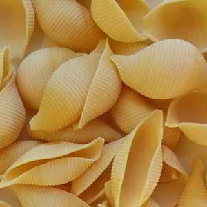 Large shells 100g for home decor and crafts.