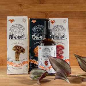 Mushroom Extract by Bristol Fungarium