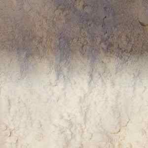 Organic strong bread flour, 100g package.