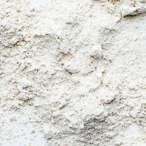 Whole spelt flour, 100g, close-up view showcasing texture and quality.