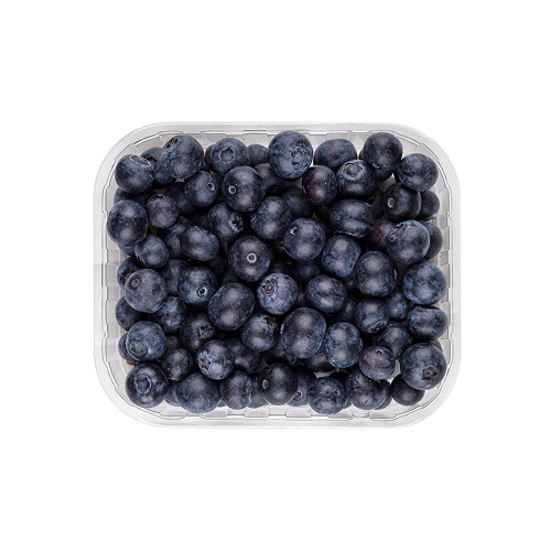 Blueberries fresh, organic