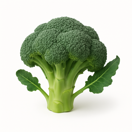 Organic Broccoli