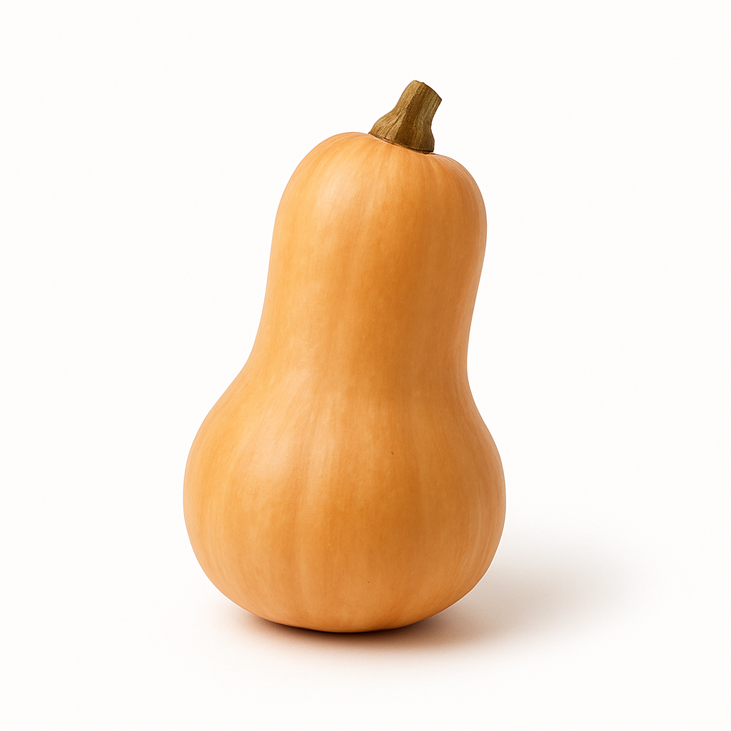 Organic Butternut Squash