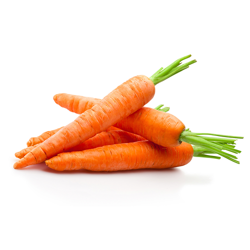Organic bunched Carrots