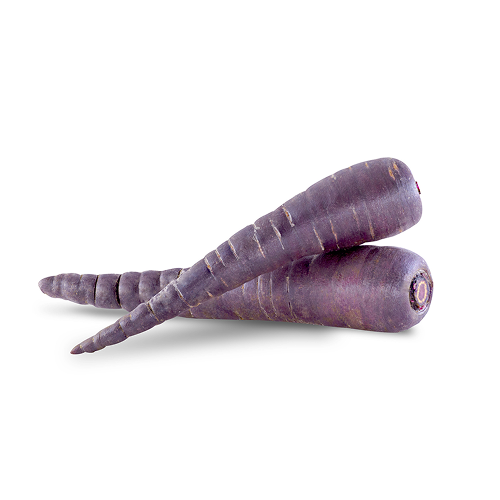 Purple Carrots Organic