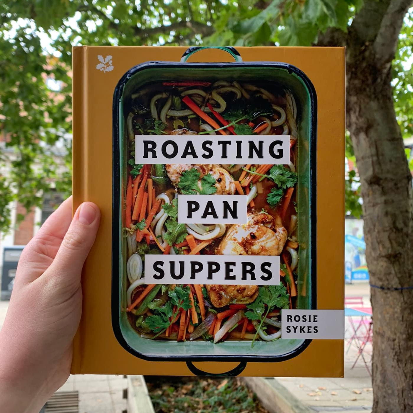 ‘Roasting Pan Suppers’ by Rosie Sykes