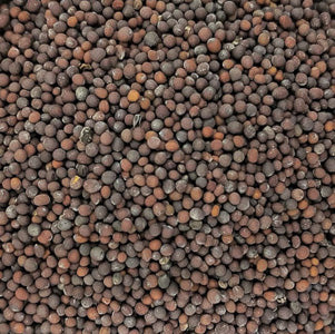 Brown mustard seed (25g)