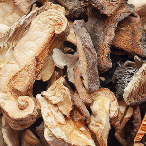 Dried forest mushrooms (100g)