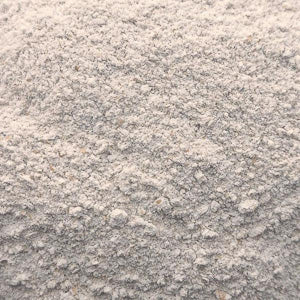 Wholemeal stoneground flour, organic (100g)